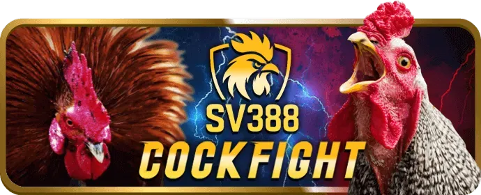 Hạn mức giao dịch và rút tiền nhanh chóng tại b888bet